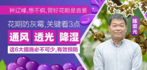 ���ڷ���ù��Ҫ����3��