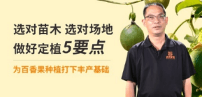 ѡ����ľ ѡ��԰�� ���ö�ֲ5Ҫ��