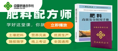 �����䷽ʦ