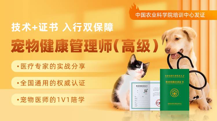 ���￵������ʦ(�߼�)