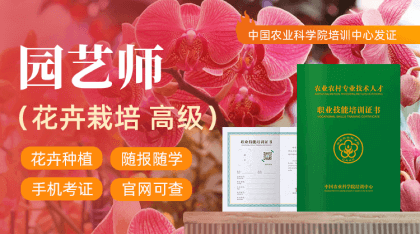 ԰��ʦ(����ݪֲ�߼�)