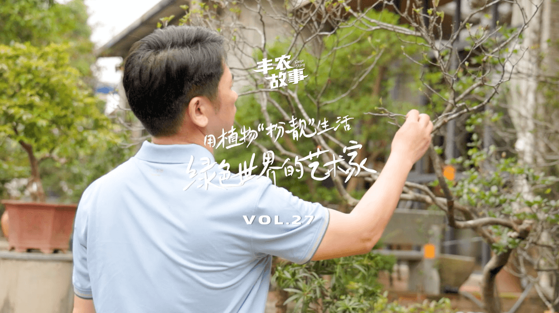 17��������һ��һľȥ������һ��������