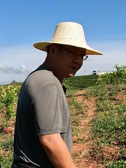 ũҵ��Ҷ����50����ͨѶ�˿���ũҵ����Ҫ��1000�����һ������