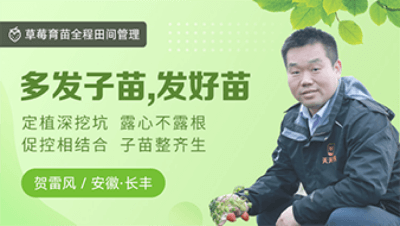 �෢������������